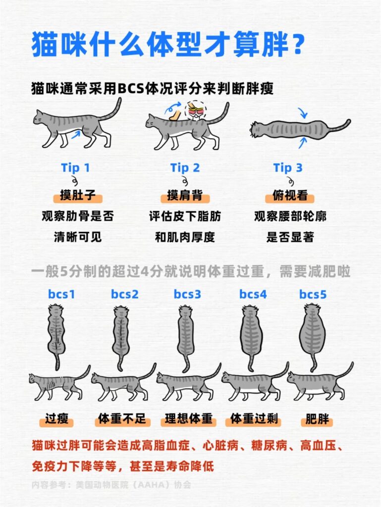 2 蚂蚁保—宠物保险 来自小红书网页版