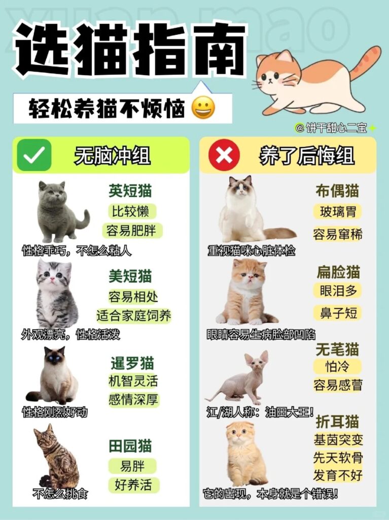 6个挑猫秘诀就能挑到好猫 1 饼干甜心二宝 来自小红书网页版