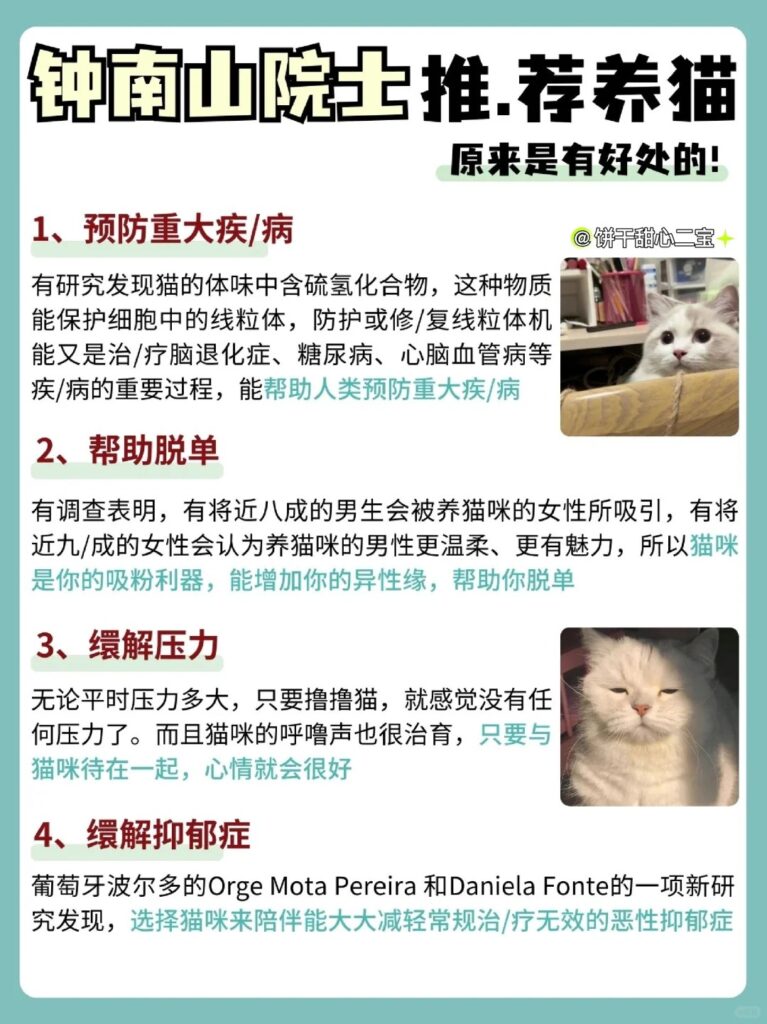 6个挑猫秘诀就能挑到好猫 2 饼干甜心二宝 来自小红书网页版