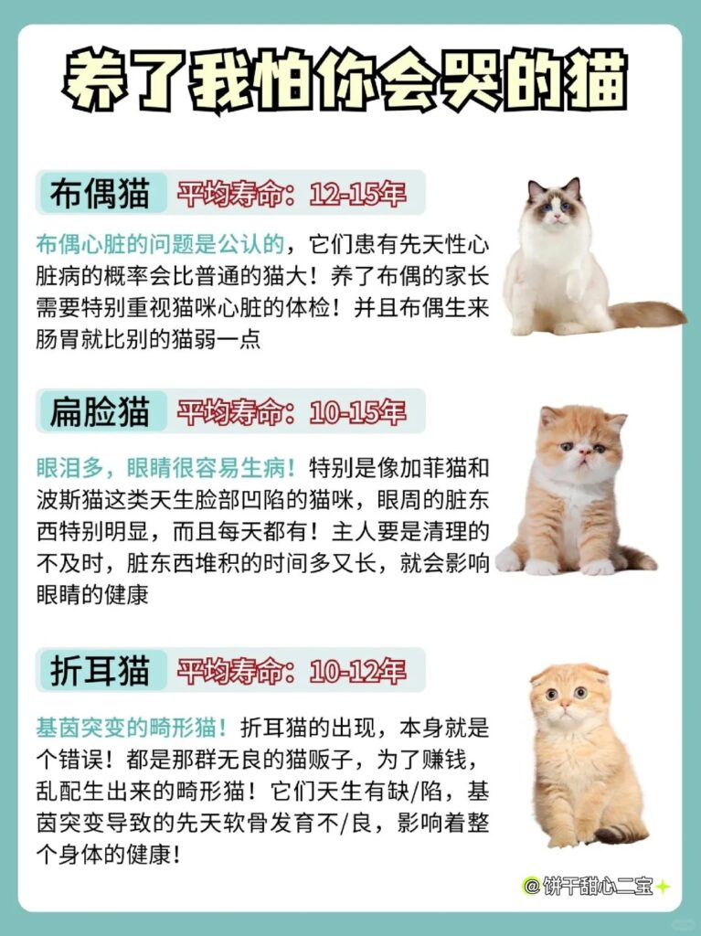 6个挑猫秘诀就能挑到好猫 4 饼干甜心二宝 来自小红书网页版