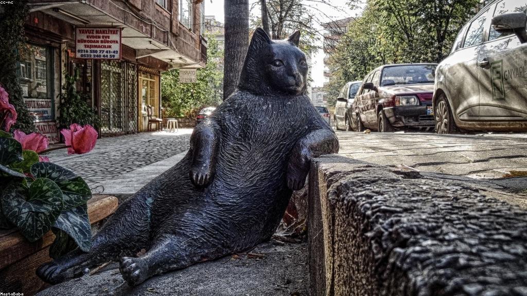 一隻快樂的狗和一隻滿足的貓，旁邊擺放著各種寵物護理產品，包括梳子、牙刷、營養補充品和玩具。