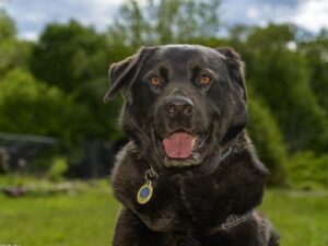 Read more about the article 健康生活主題