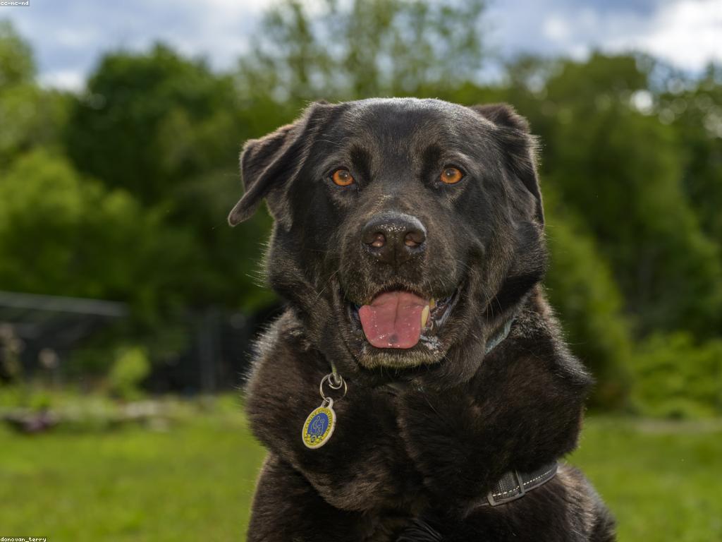 Read more about the article 健康生活主題