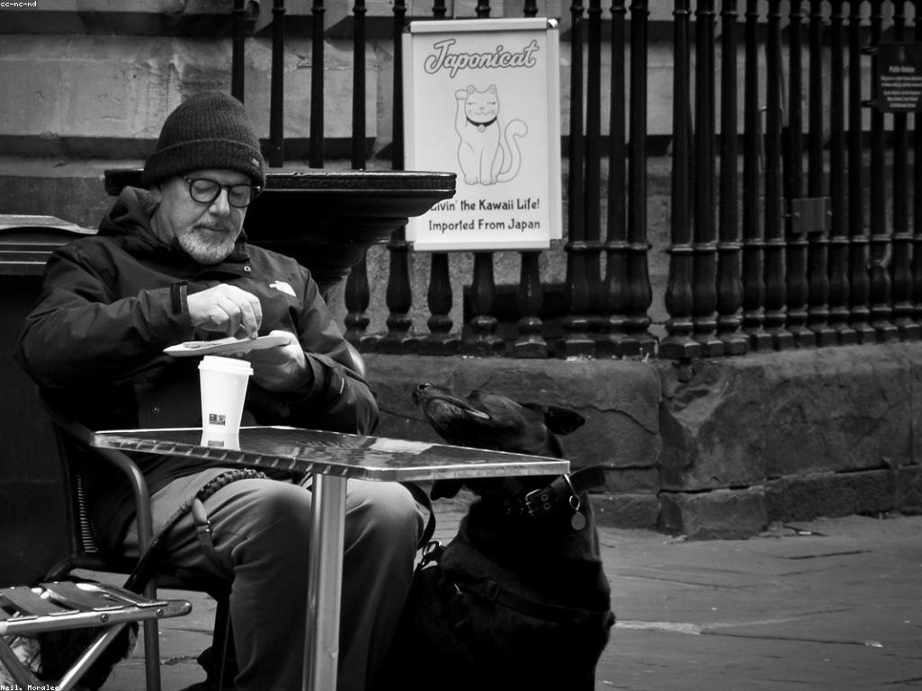 低碳水化合物貓罐頭與新鮮水源